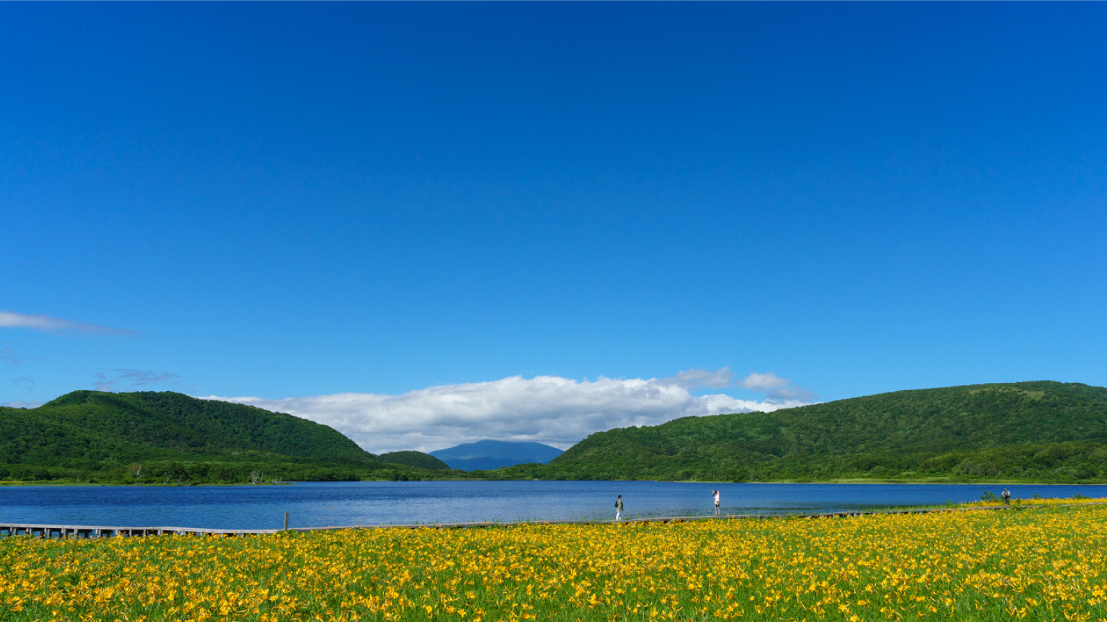 【福島県「また来て。」割対象】温泉で癒されるリーズナブル素泊まりプラン（最大3，000円引）