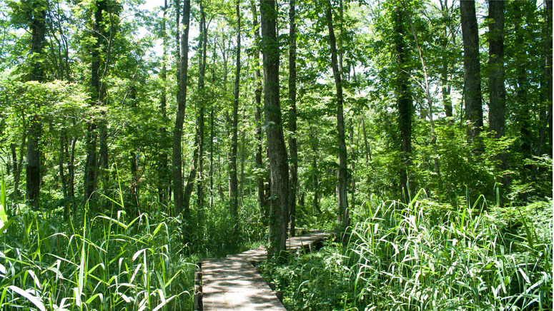 【福島県「また来て。」割対象】【観光拠点に最適】会津・裏磐梯へ！1泊2食付（最大3，000円引）