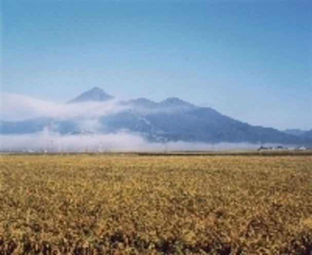 秋の風景