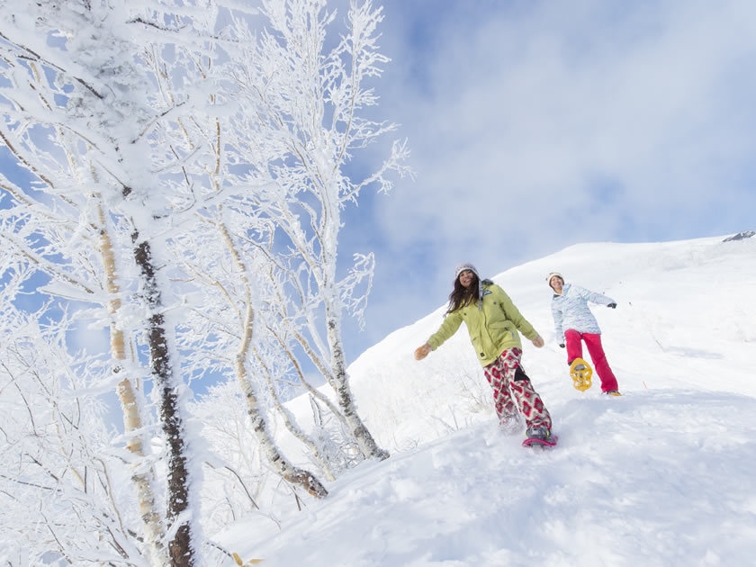 裏磐梯高原パウダースノーを愉しむお得なリフト券あり【選べる夕食・朝食付き】