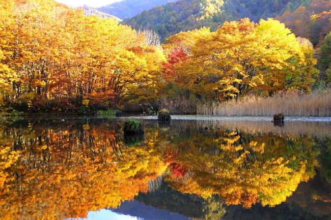 裏磐梯の紅葉