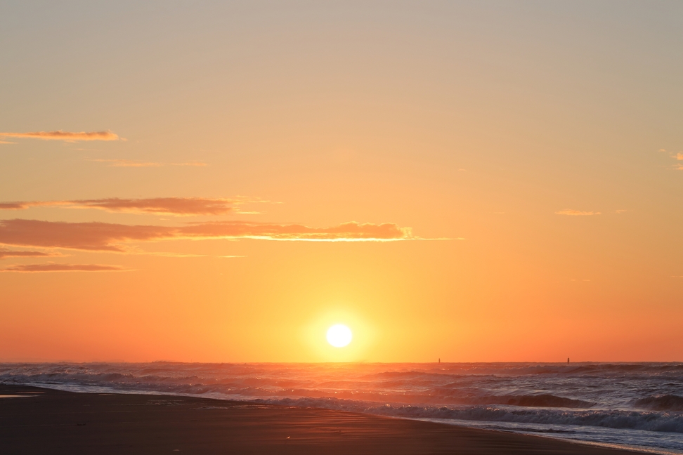 【年末年始★2食付】2026年桜島初日の出★眺望最高の特別プラン★