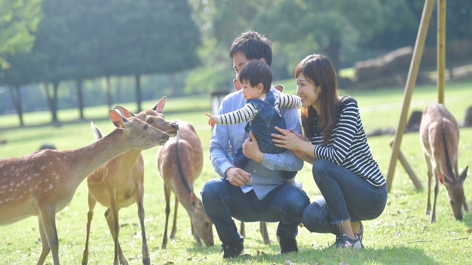 《マタニティ・赤ちゃん連れの方に》◆◇ママ楽々旅行プラン◇◆