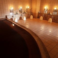 モール温泉は天然の化粧水とも言われています。（写真は男子浴場です）