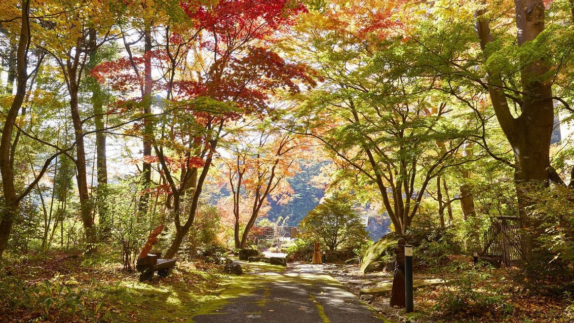 【会場食】2025年♪♪秋の実りに舌鼓『日光秋彩（あきいろ）御膳』♪♪