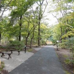 敷地内　「四季の森」入り口