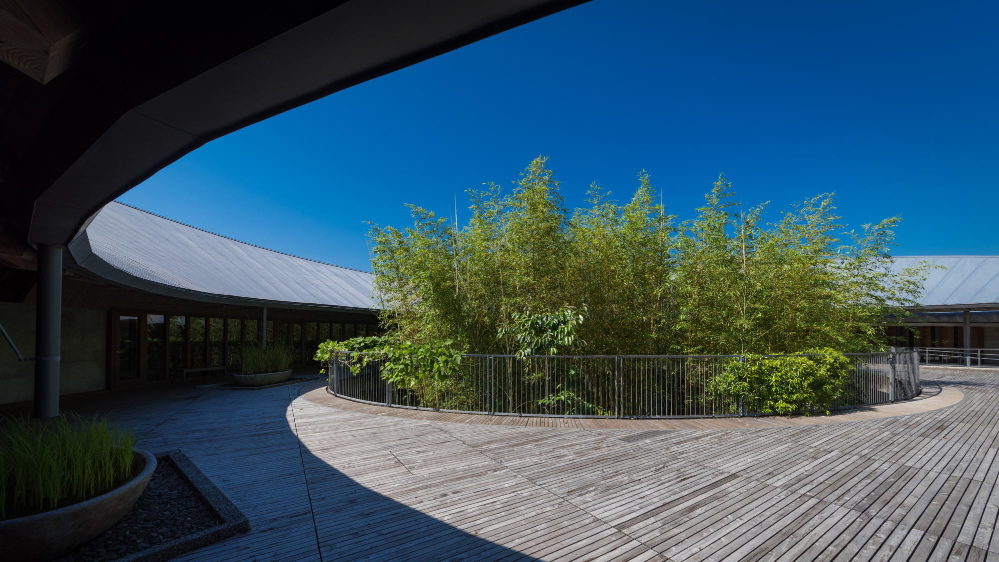 【牧野植物園入場券付】博士ゆかりの野生植物をファミリーで楽しむ／夕朝食付　All Inclusive