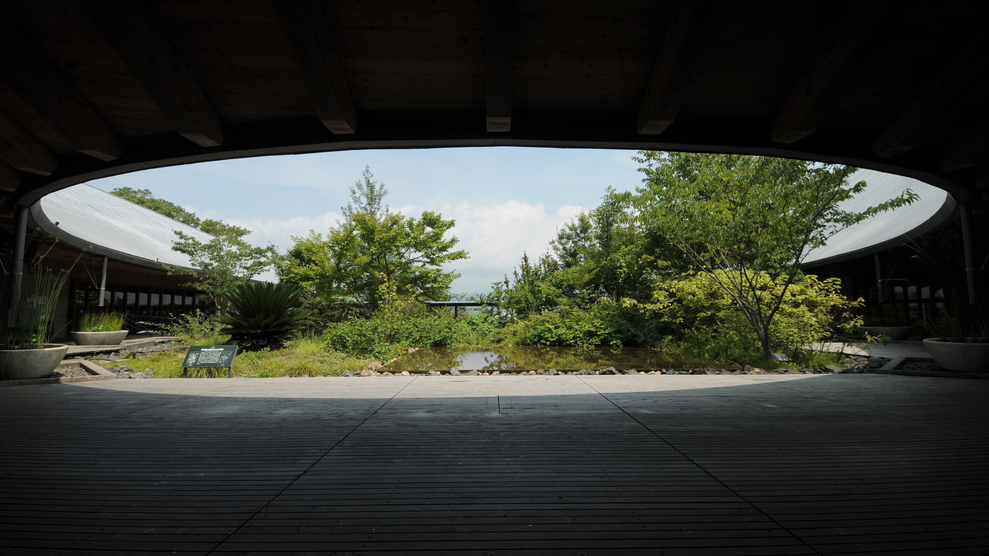 【牧野植物園入場券付】博士ゆかりの野生植物をファミリーで楽しむ／夕朝食付　All Inclusive