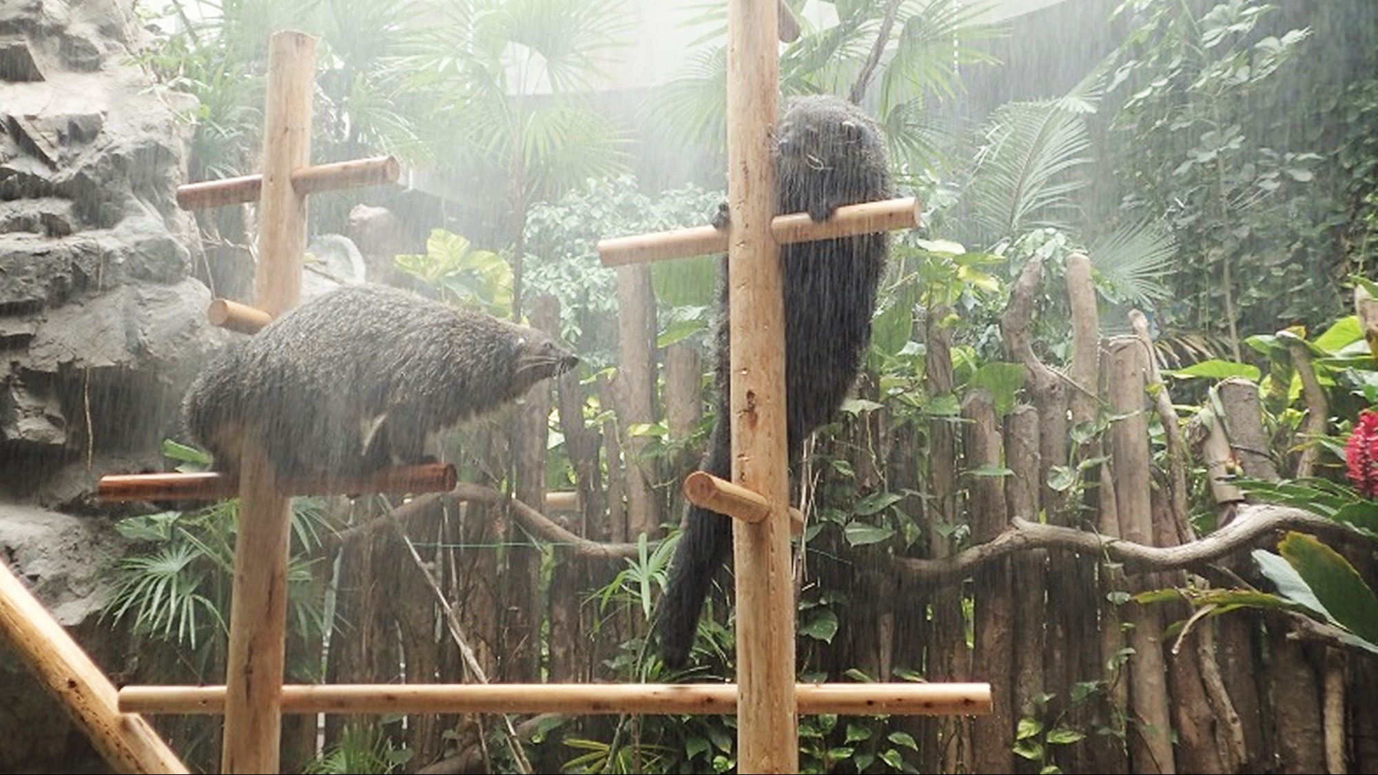【のいち動物園入場券付】自然豊かな環境を過ごす動物と触れ合い／夕朝食付　All Inclusive