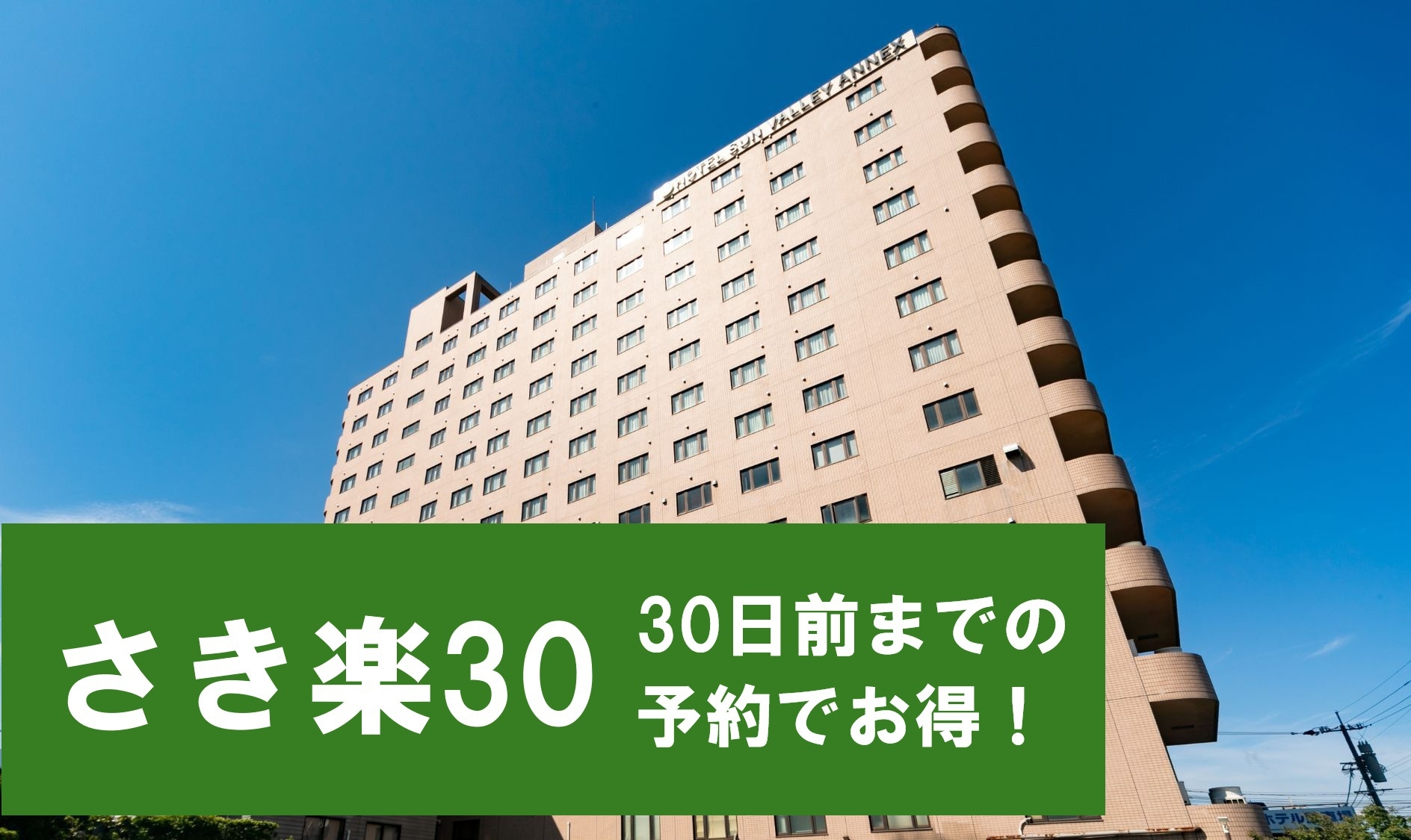 【さき楽30／事前決済限定】5％OFF！素泊まりプラン／駐車場無料＆かけ流し温泉＆ヤクルト化粧品