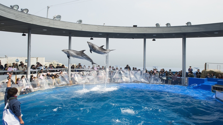 【〜海の生き物に会いに行こう〜】水族館「うみたまご」チケット付きプラン（朝食付）