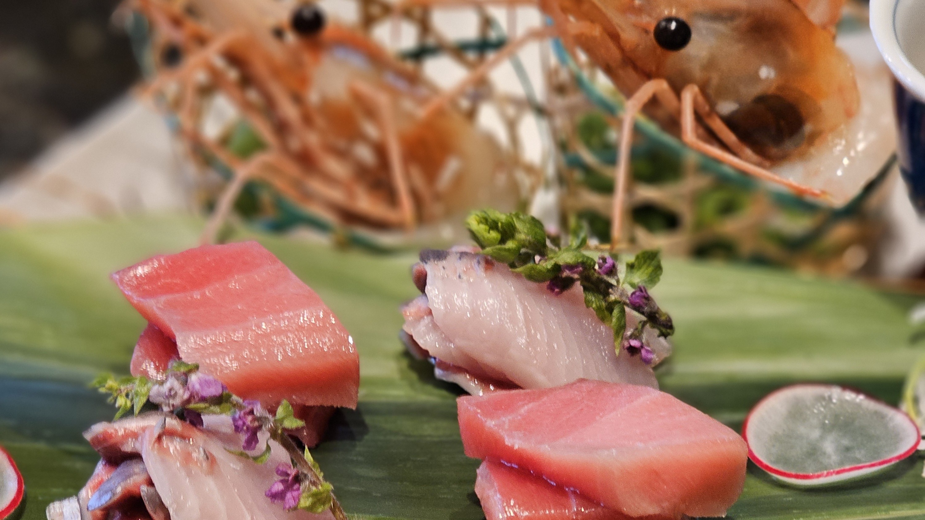 【創作和食コース／ある日のお料理一例】