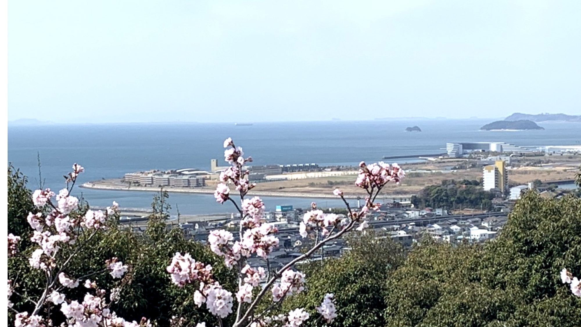 3/14〜4/11　2組様限定◆春爛漫◆名所で満開の桜を楽しむ