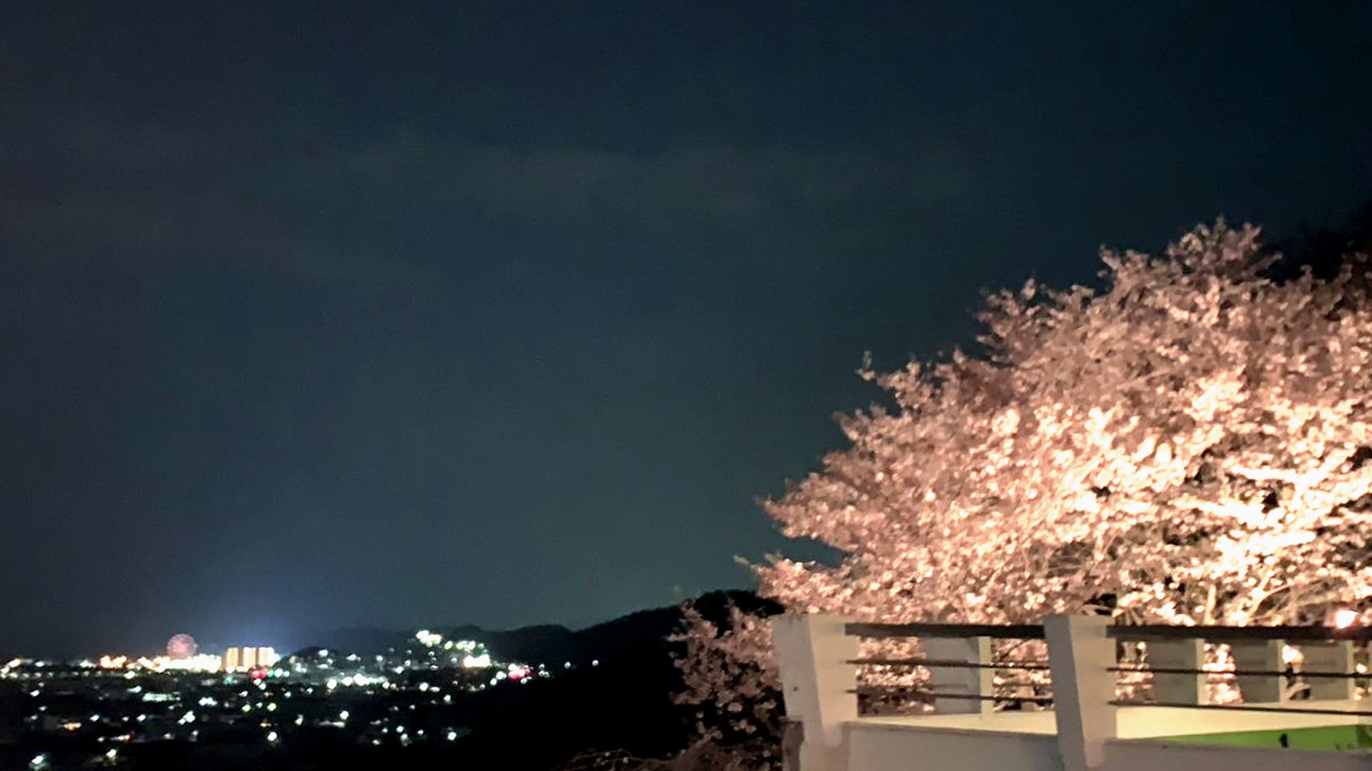 3/14〜4/11　2組様限定◆春爛漫◆名所で満開の桜を楽しむ