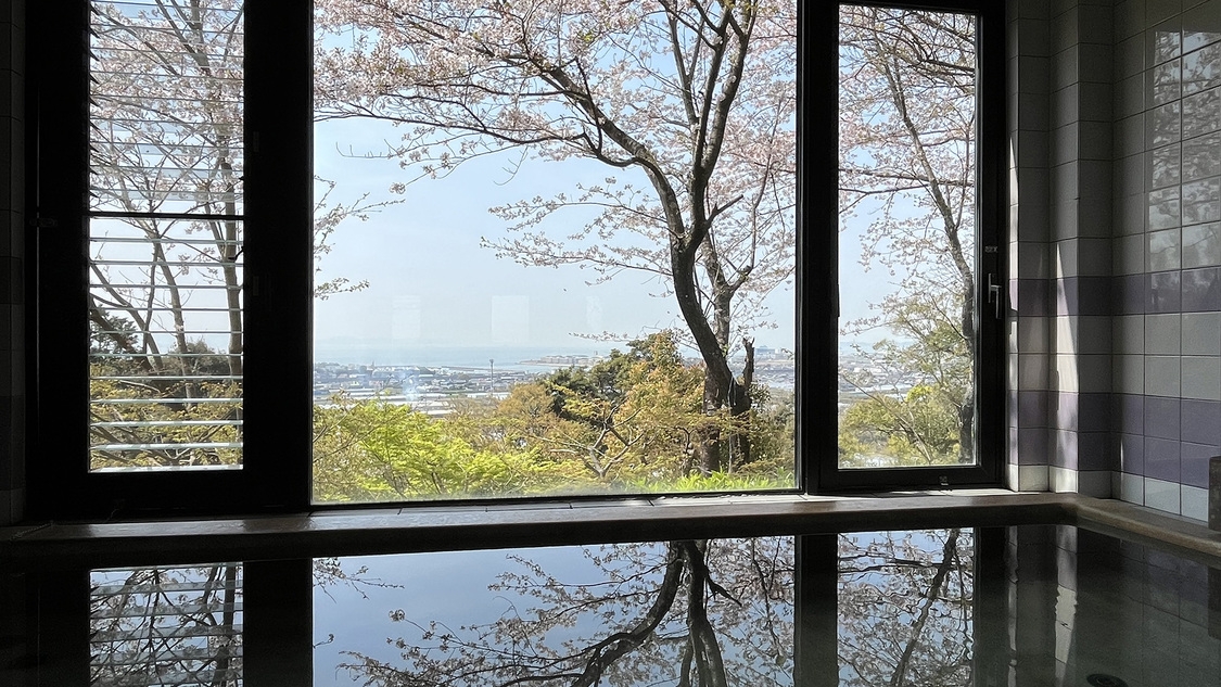 3/14〜4/11　2組様限定◆春爛漫◆名所で満開の桜を楽しむ