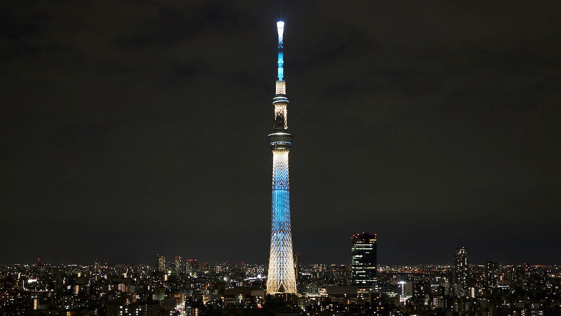 【絶景】東京スカイツリーの見えるお部屋確約プラン（素泊り）