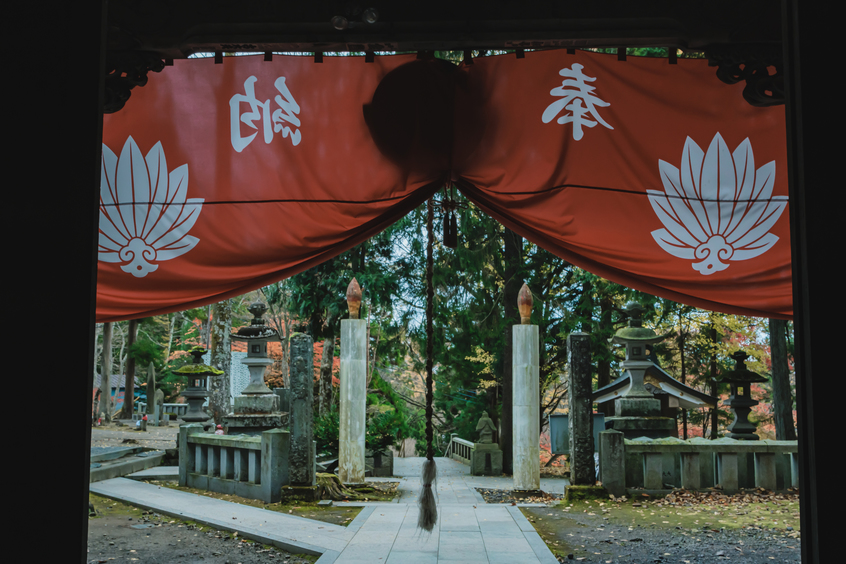 【連泊限定】水芭蕉を定宿に！連泊で玉原を満喫【素泊まり】