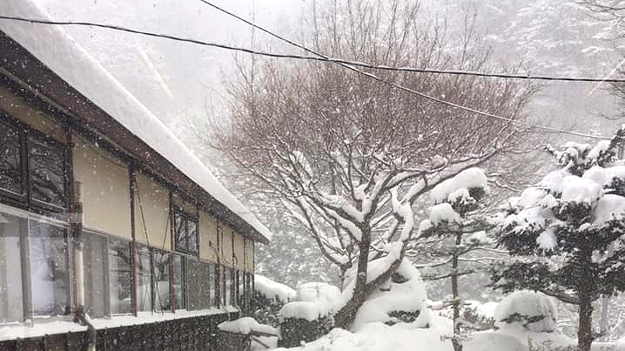 *館内から見た雪景色/山里らしい静かな雪景色です。