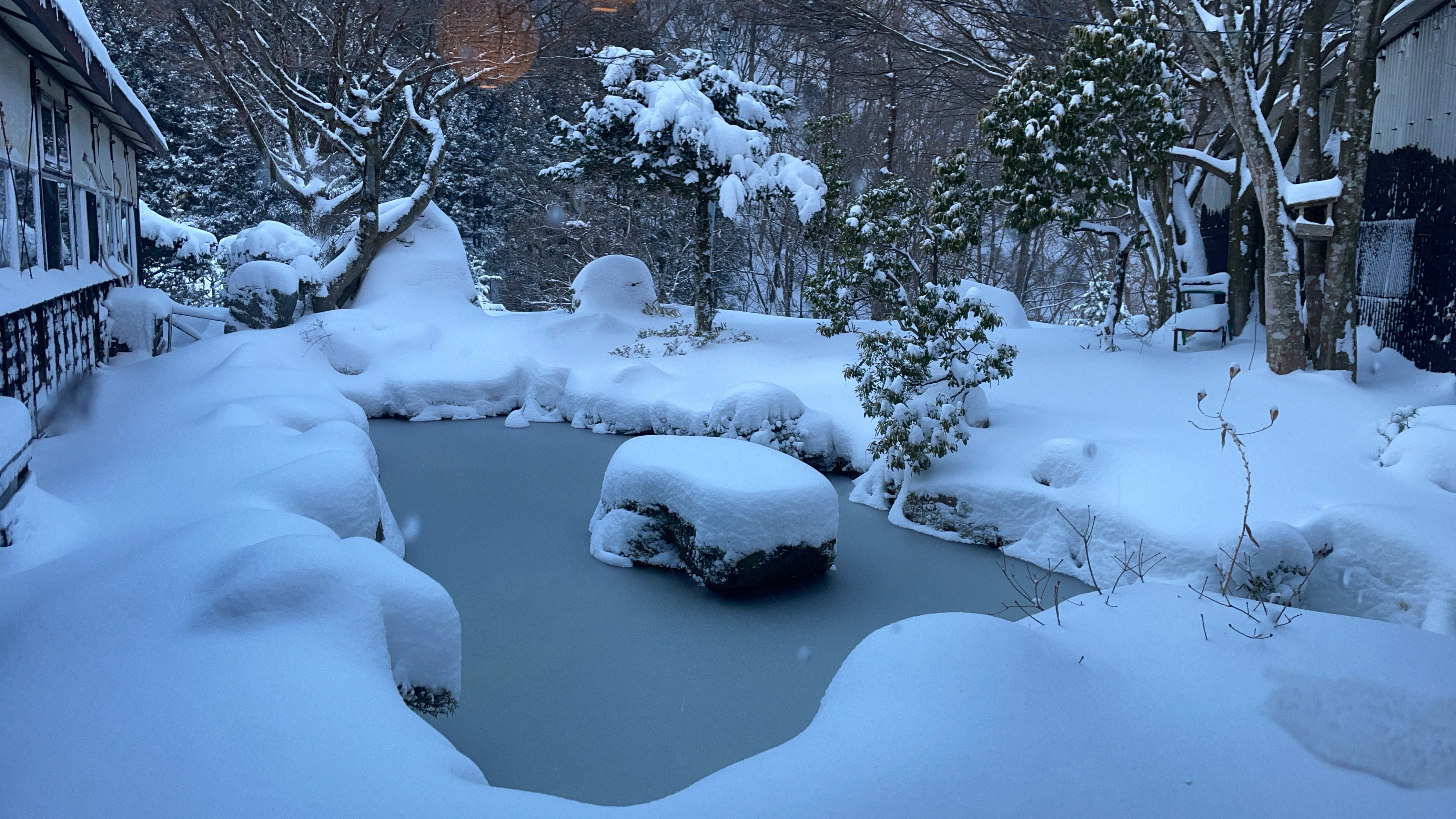 【中庭】ホールから見る冬の中庭