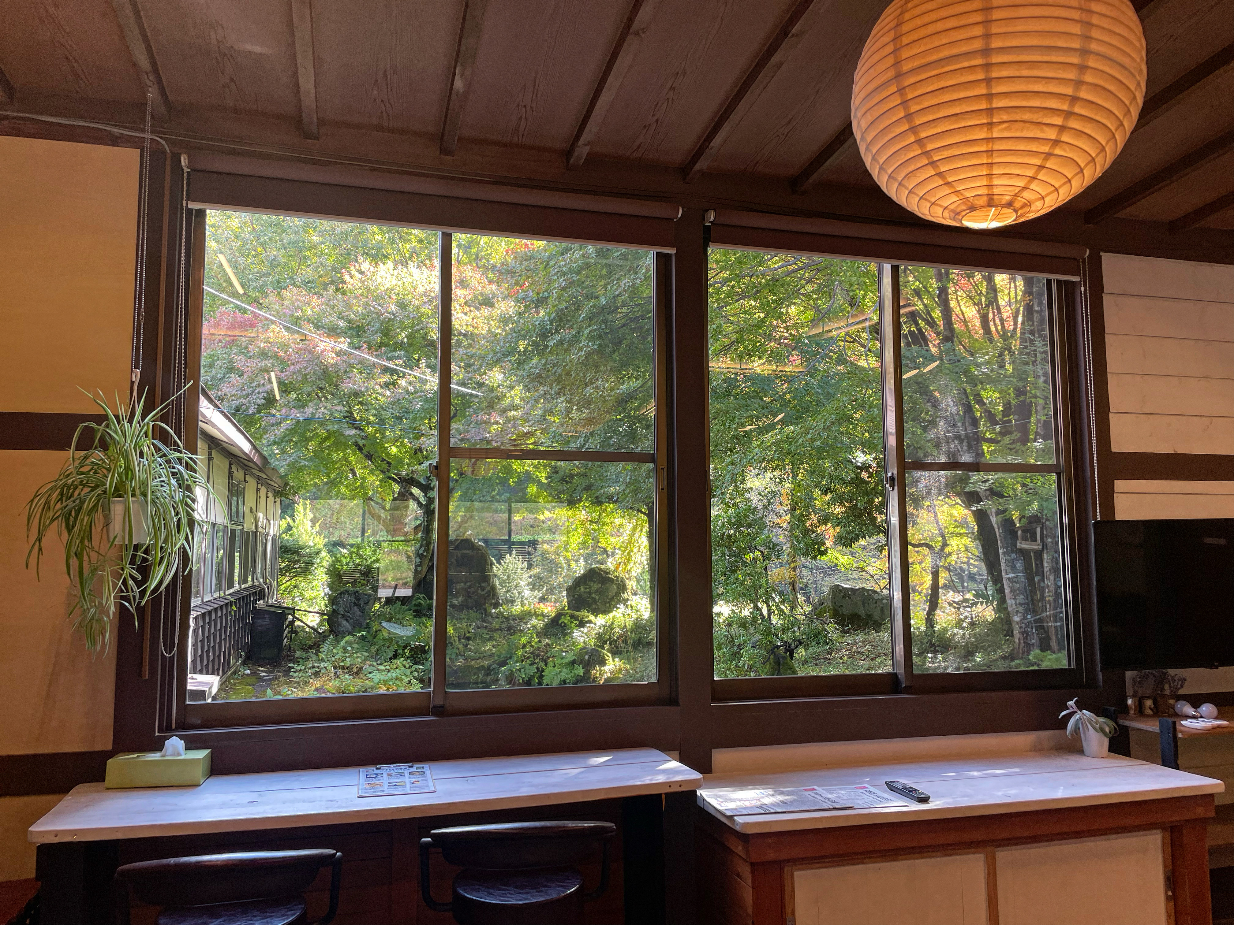 【ホール】中庭をのぞける窓はとっても開放的