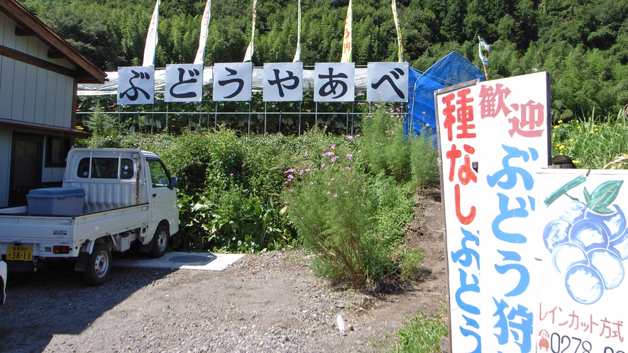 *ぶどう農園/当館から程近いぶどう農園です。