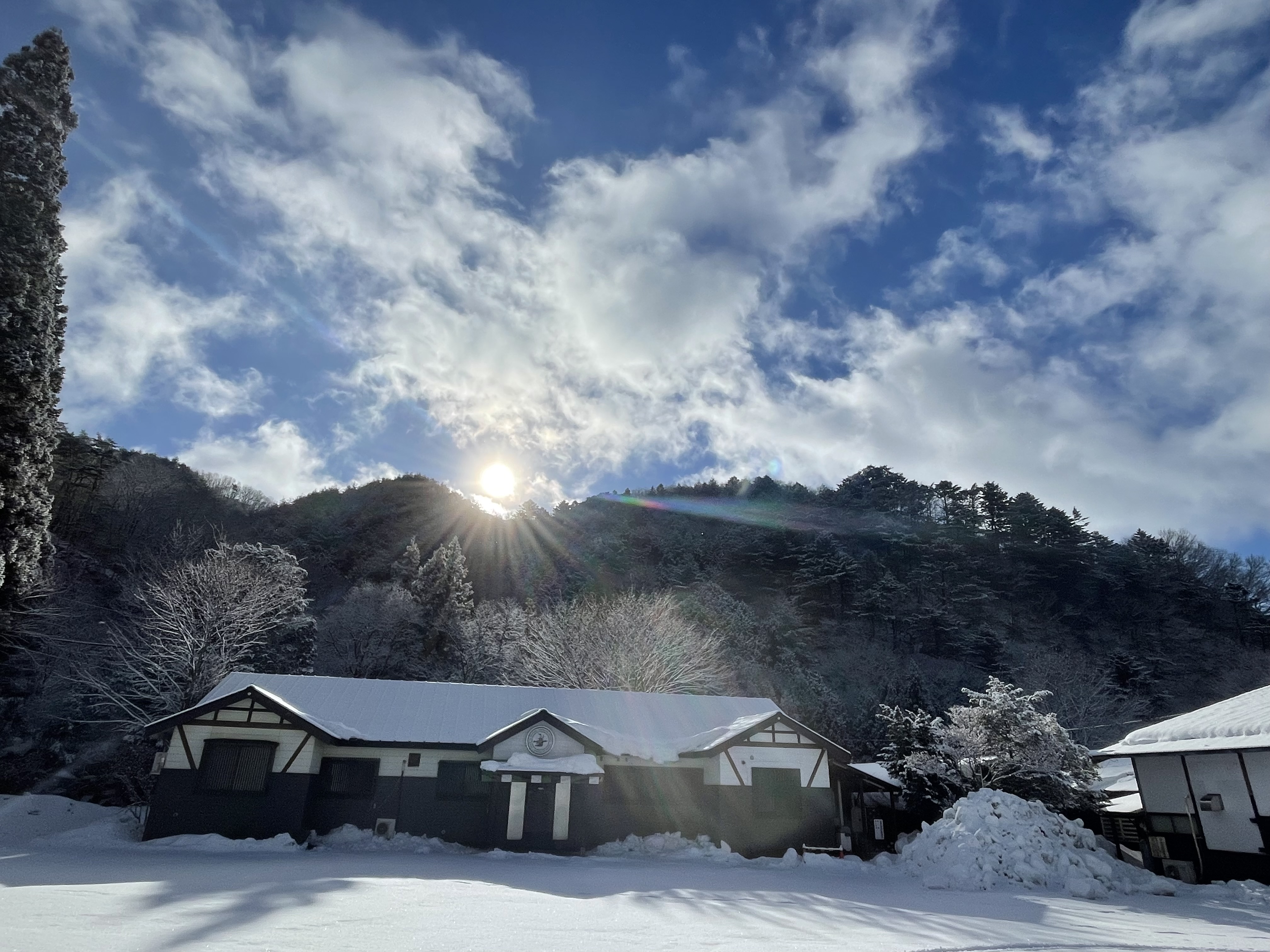 【外観】晴れの日の水芭蕉！美しい！