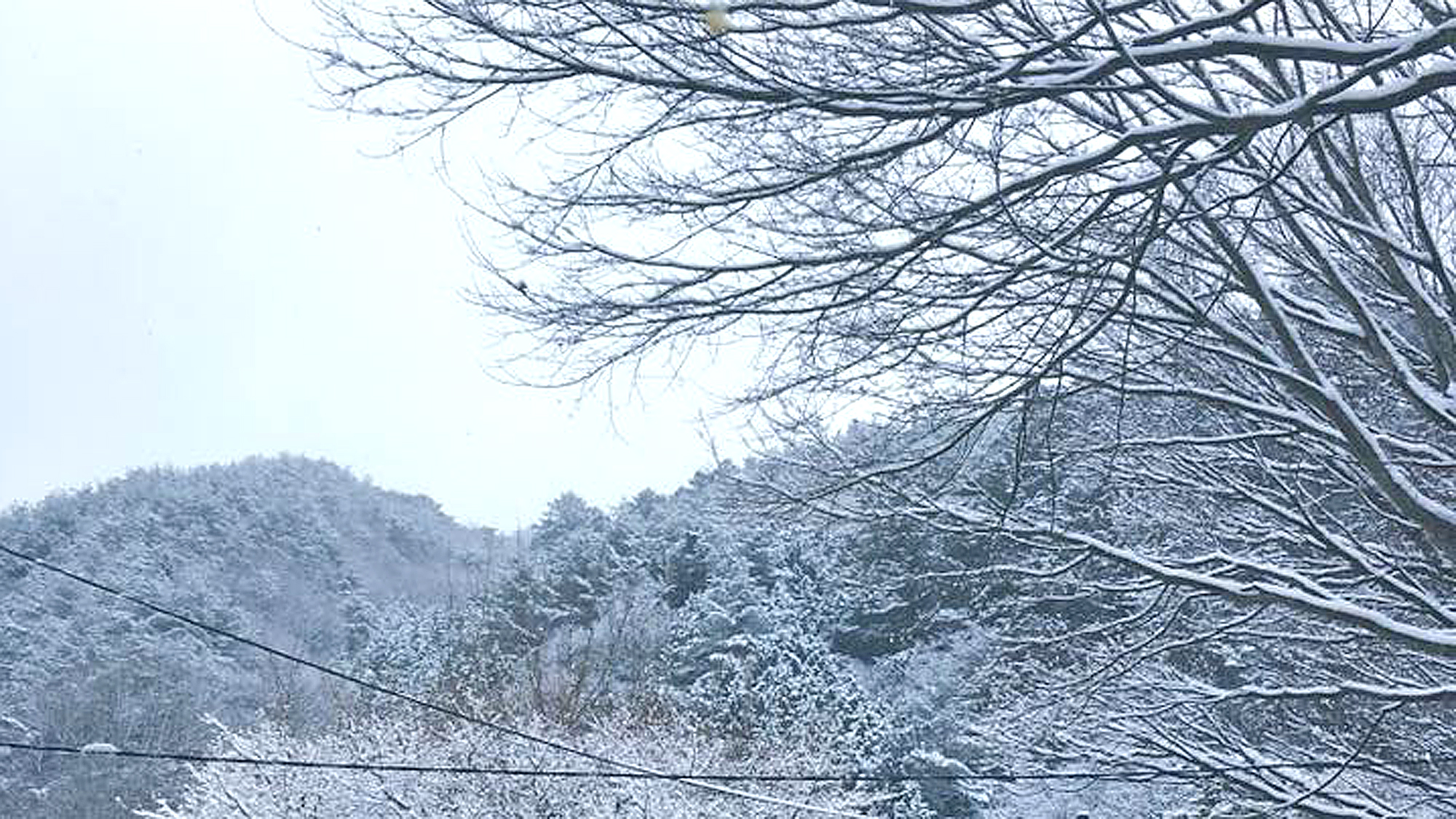 *春の雪景色/高原では春でも雪が積もることもしばしば。春までスキー・スノボをお楽しみいただけます。