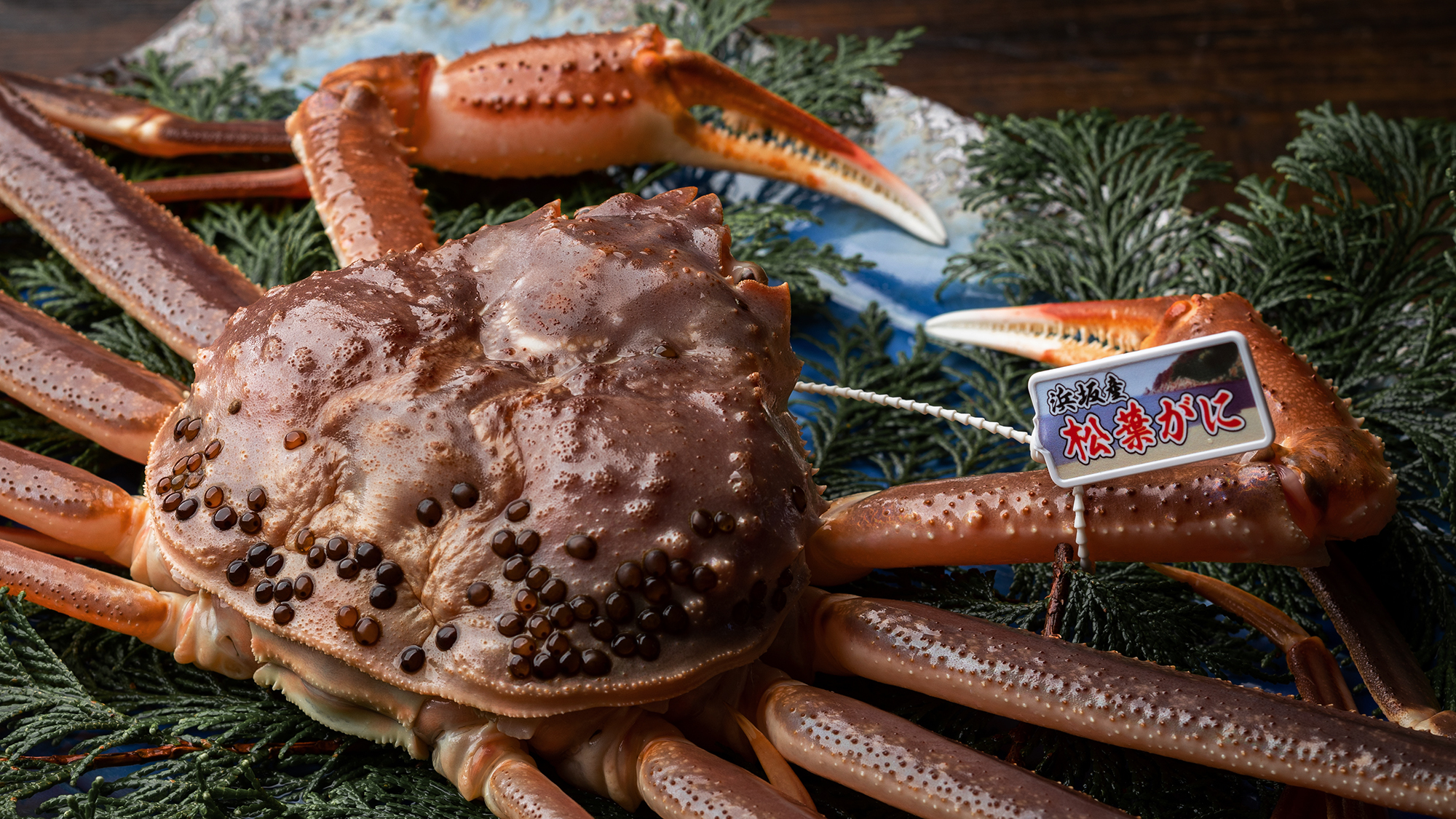 漁港ごとに付与される「タグ」は、高品質ブランドの証です。