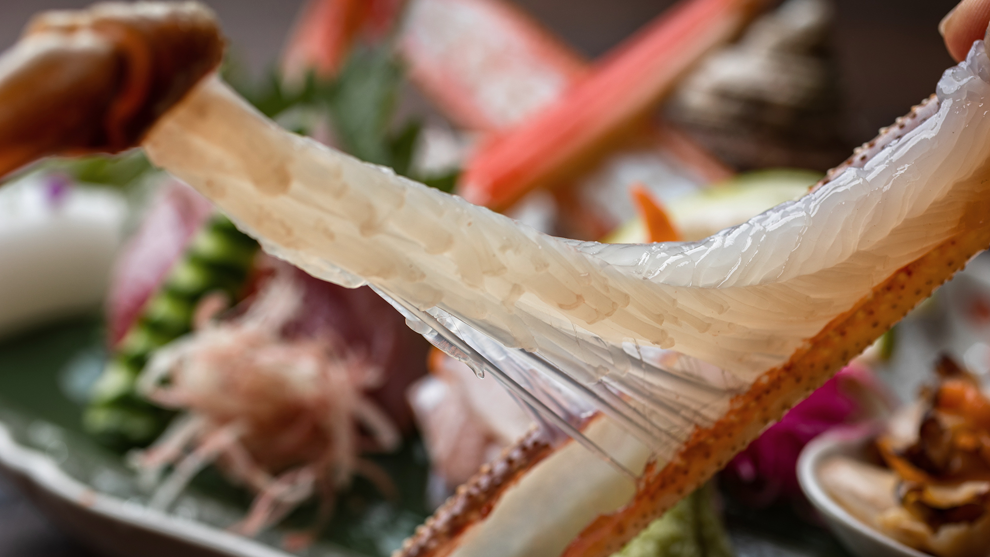 活・松葉蟹の蟹刺し