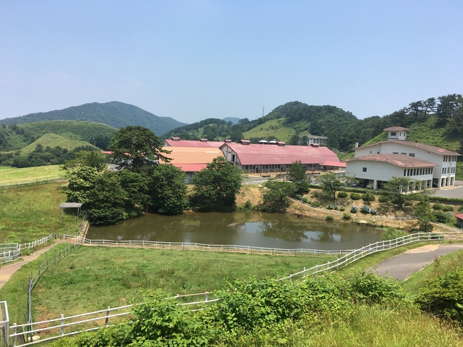 碇高原牧場