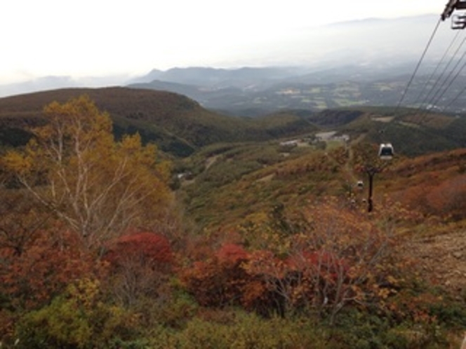 紅葉時のロープウェー