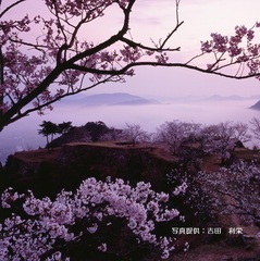 パワースポット“竹田城”