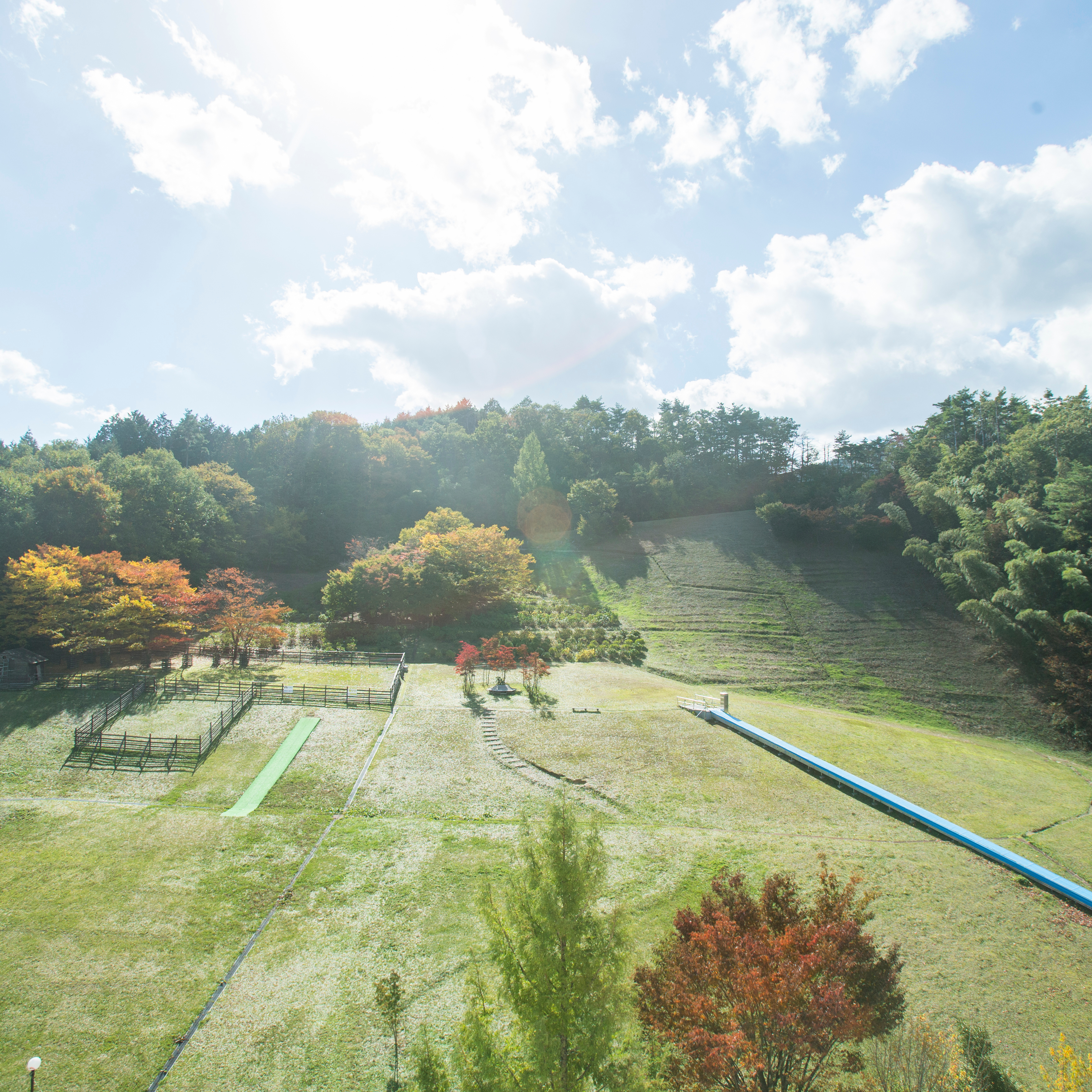 客室からの景色