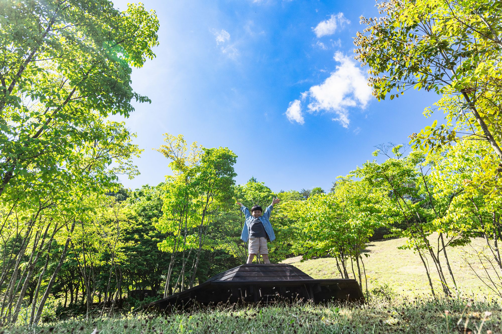 【星見ベンチ】天気が良ければ息をのむほどの星空が広がります