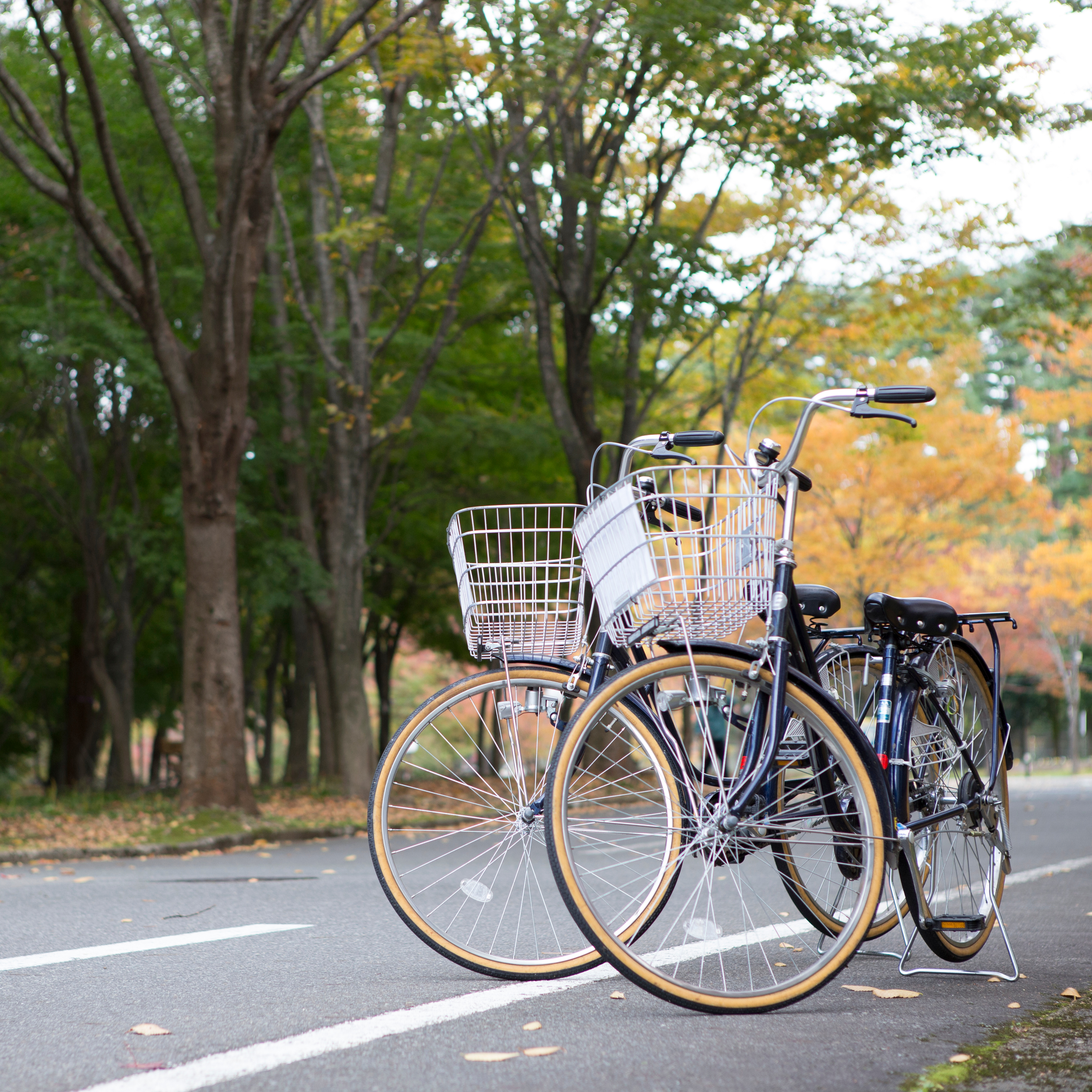 サイクリング