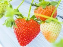 「ゆっくり11時レイトアウト」＜飲み放題付＞天空の露天風呂付客室　特別会席＆選べる朝食！夕食個室確約