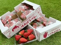 「ゆっくり11時レイトアウト」＜飲み放題付＞豪華★伊勢海老会席　天空の露天風呂付客室　夕食個室確約！