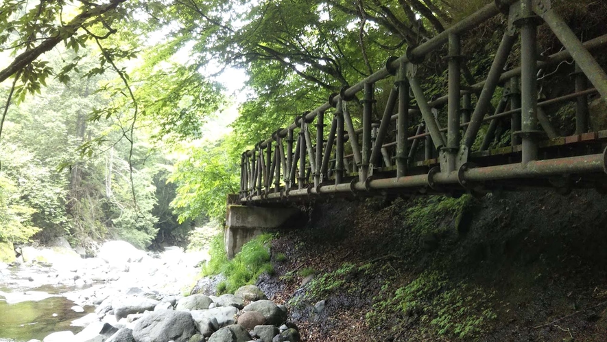 【宮司の滝への小道】宮司の滝へは宿からは徒歩約20分。川沿いに小道を歩きます。
