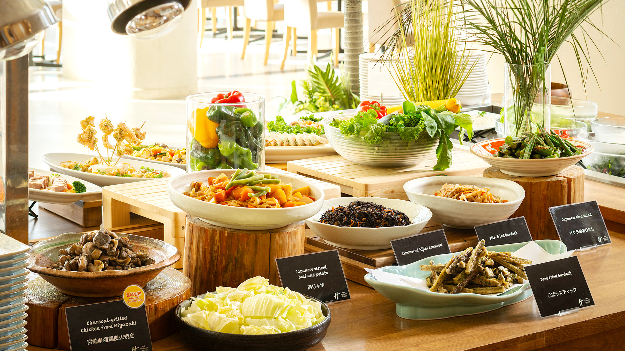 宮崎県産鶏炭火焼など