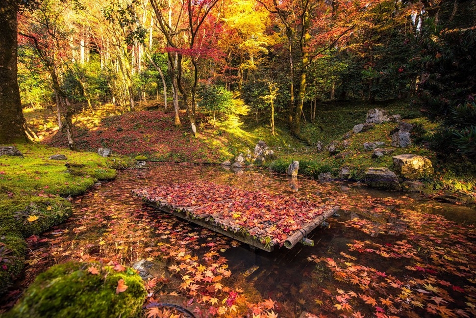 【山寺で紅葉を奏でる♪近江狐篷庵】入館券付！源泉かけ流し天然温泉で秋を満喫♪地の幸と季節の味