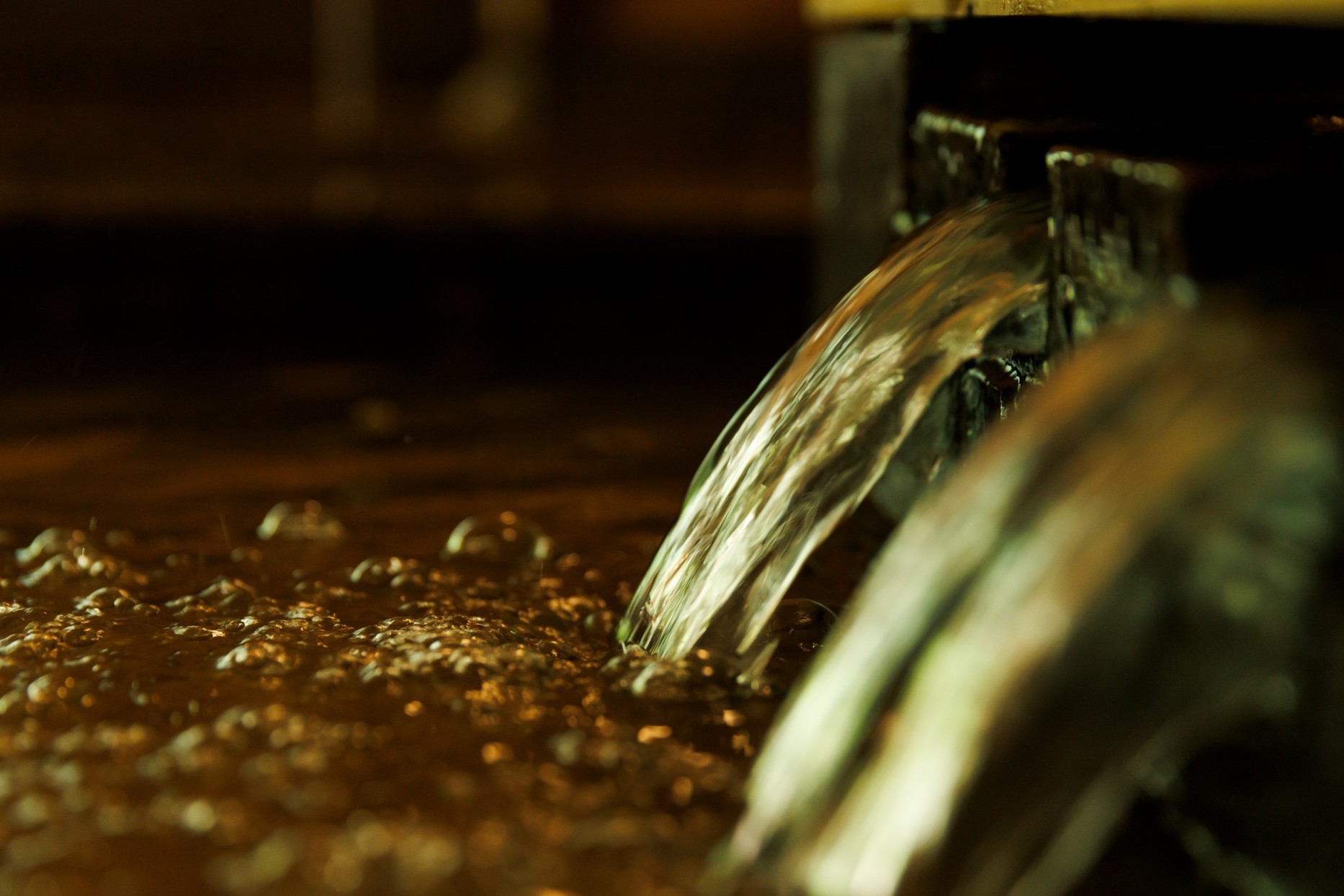 【ペットと一緒に】のんびりゆったり温泉旅行を楽しもう！◆グレードアップ特選会席◆お市の舞