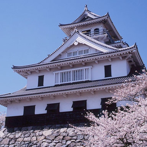 長浜城と桜