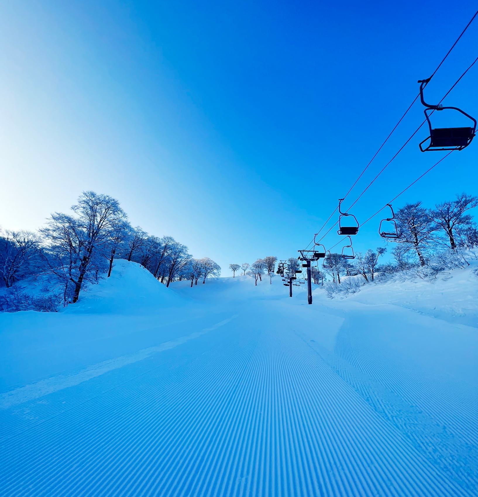 グランスノー奥伊吹