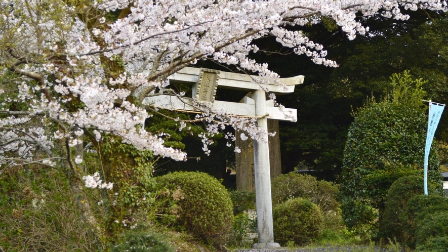 天城を守る天城神社。春には桜が美しい