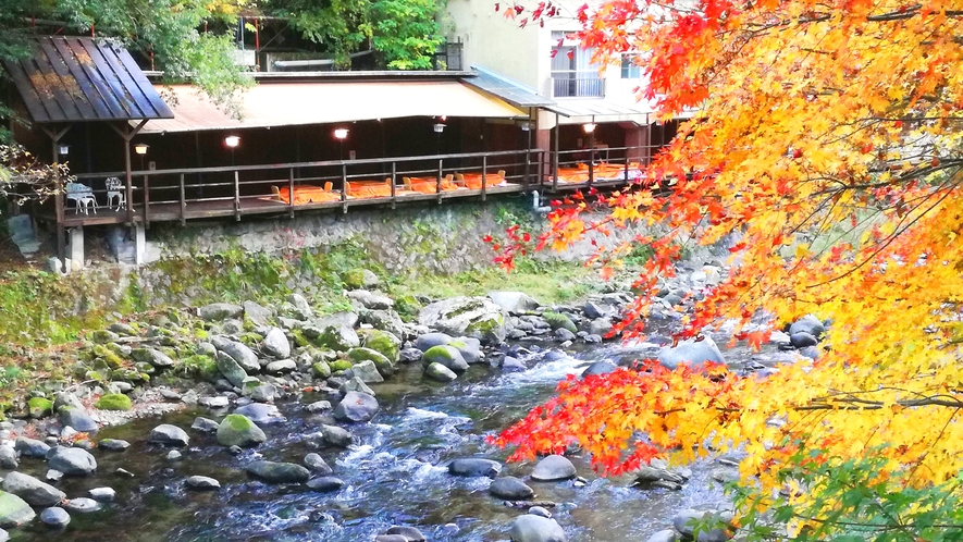 秋になると川床からも紅葉が楽しめる。こたつ＋ちゃんちゃんこ＋お鍋で温まりながら愛でる紅葉は格別