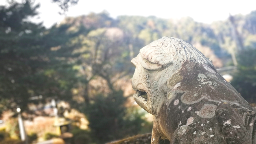 当館から徒歩10分、天城神社に座るこまいぬちゃんは可愛い顔をして山を睨んでいます、一見の価値あり！