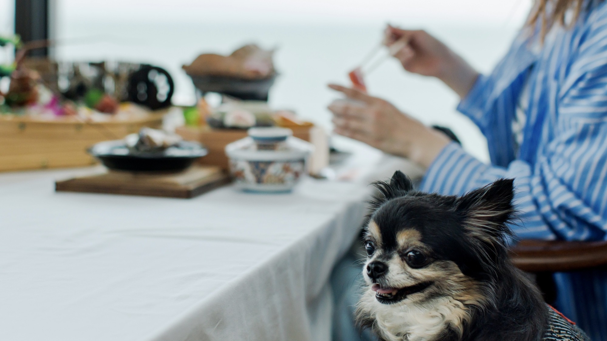 【楽天月末セール】《離れ ゆらぎ》愛犬と過ごす”こだわりの時間”（一泊二食）