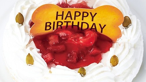 【愛犬同伴可レストラン】愛犬Anniversary♪　お誕生日や記念日を愛犬用ケーキで一緒にお祝い♪