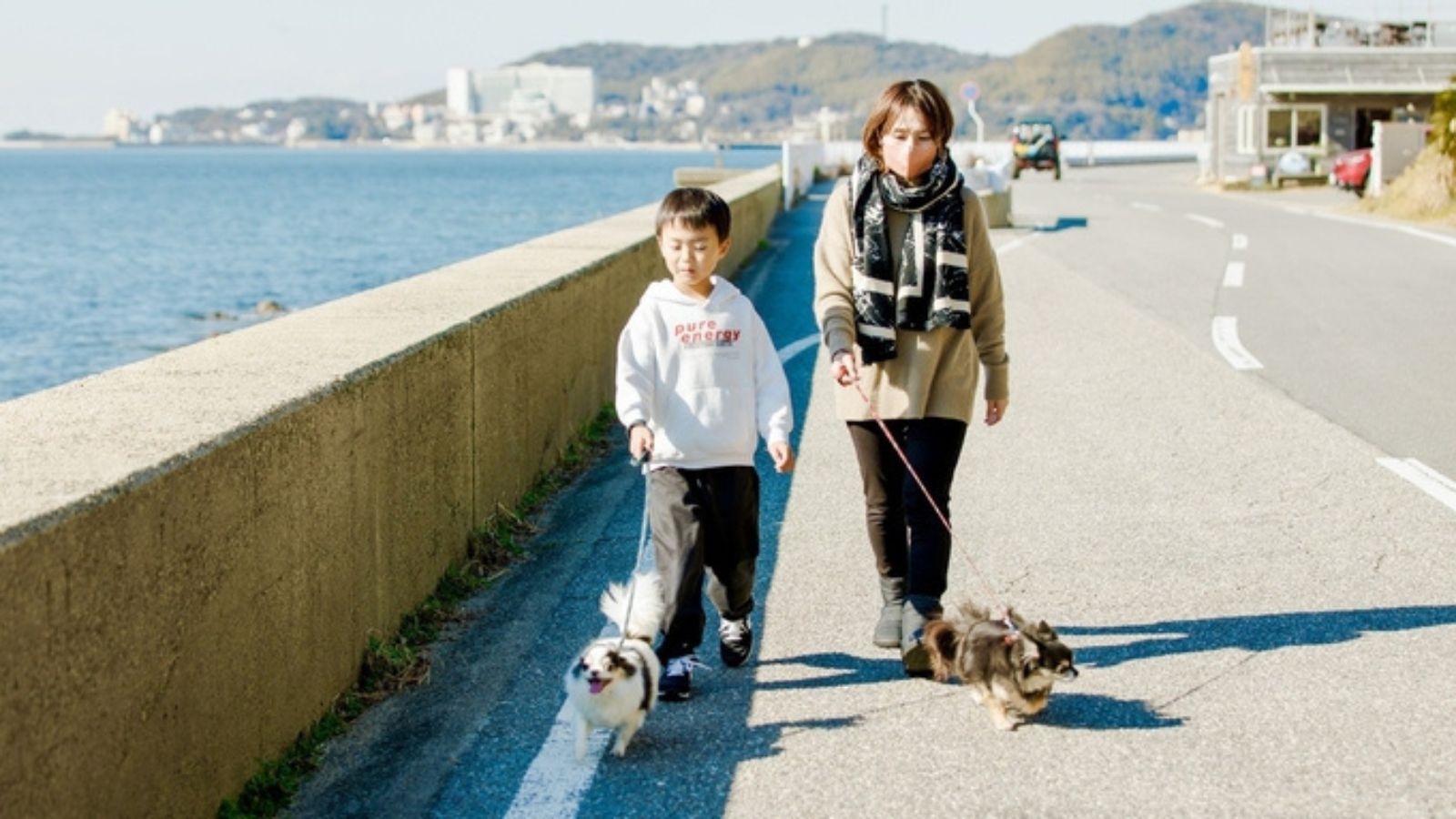 【愛犬と気軽に海辺旅】お食事もご一緒に｜三河の旬を肩肘張らず味わう 三河会席◆葵