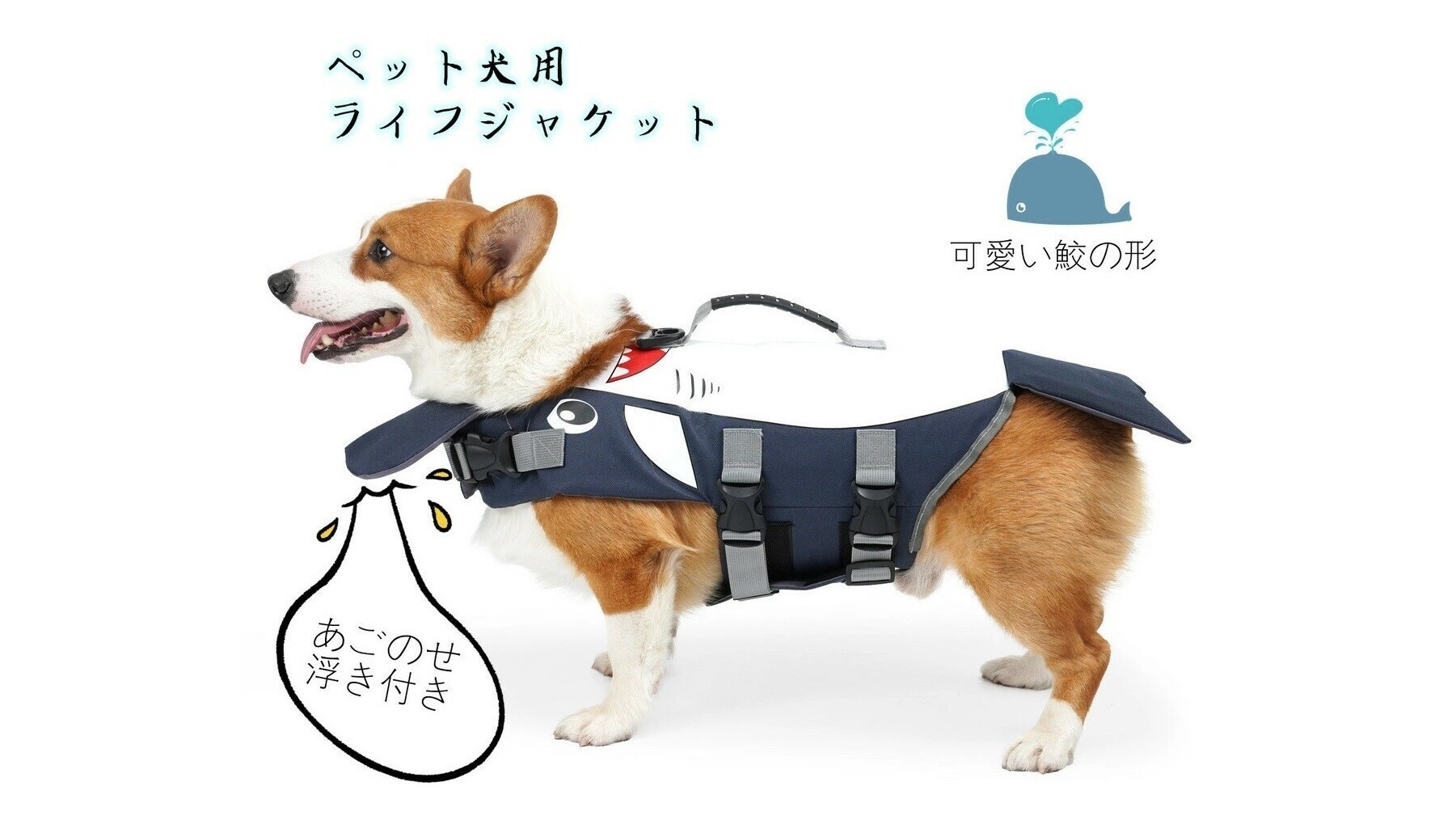 【愛犬と夏満喫｜三河会席◆極】ワンちゃんもみんなも嬉しい5大特典付き！徒歩2分のビーチへGO！